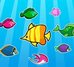 Colorful Fish Matching