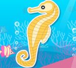 Finding Seahorses